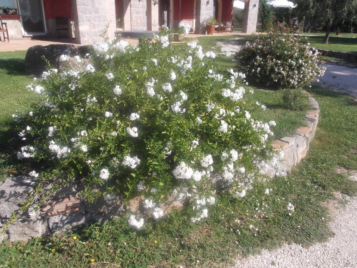 Agriturismo Casal Grande Canepina Екстер'єр фото