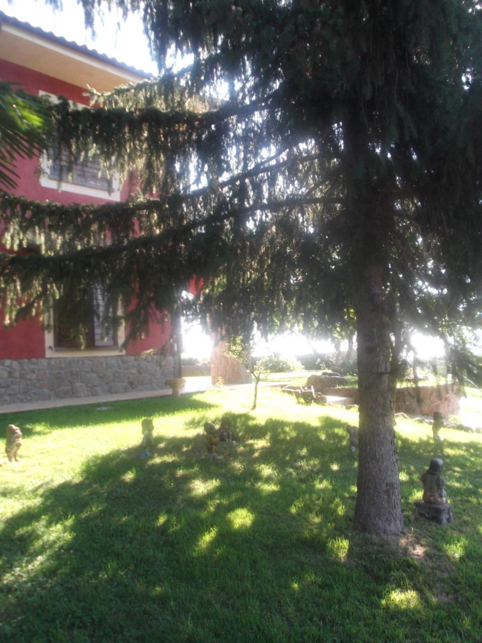 Agriturismo Casal Grande Canepina Екстер'єр фото